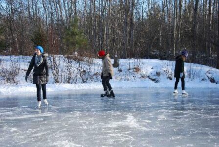 Appreciating Our Four Seasons Image